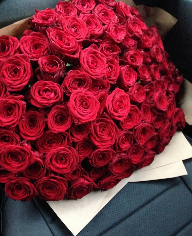101 красная роза 101 красная роза